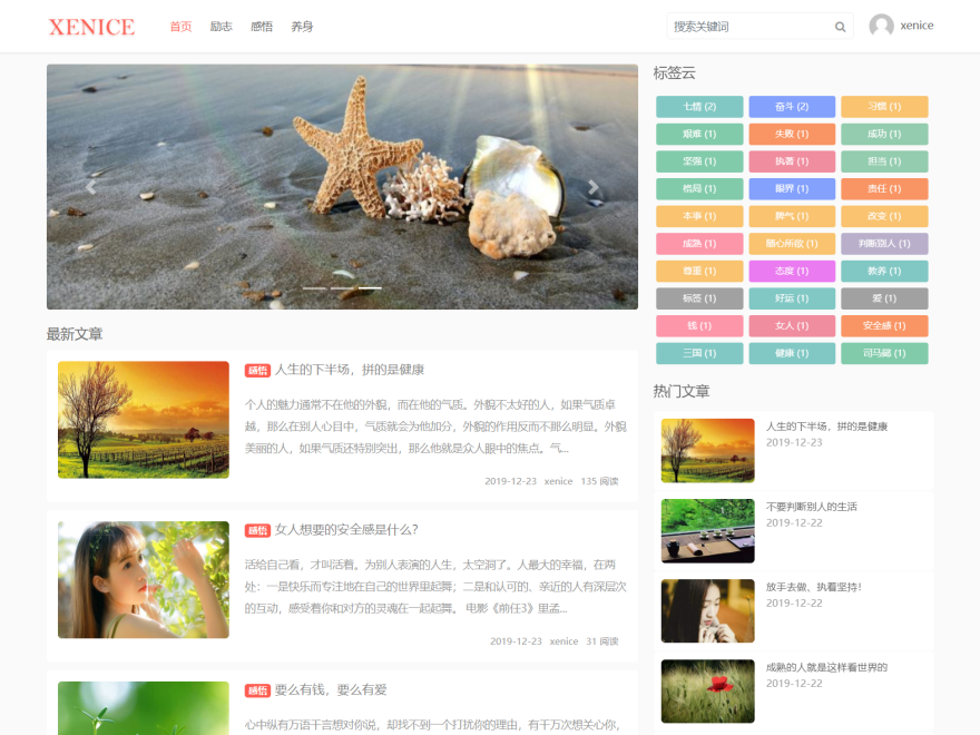 简洁美观的双栏WordPress免费主题MissNice