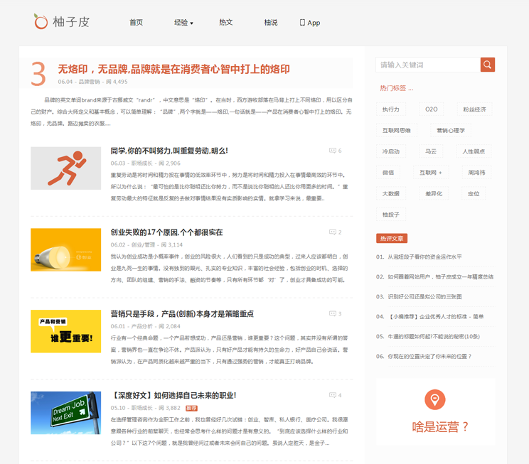 Wordpress正版柚子皮5.6.1简约自适应博客主题免费分享